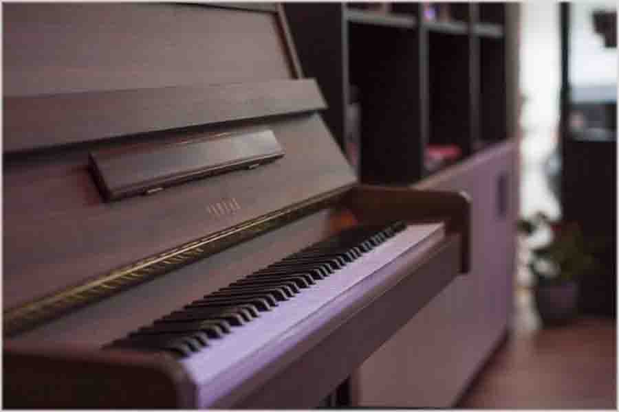 Rochers Ville Music Instruments